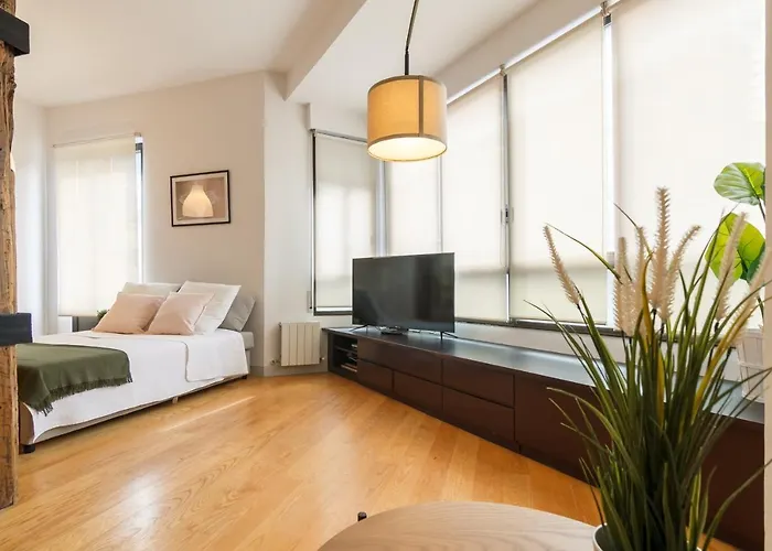 Muy Luminoso A 5 Min Del Centro De Apartment